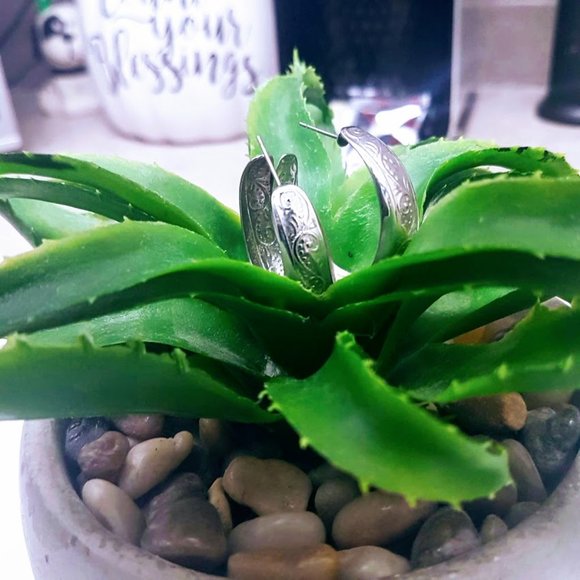 #J27  Mini Hoop Earrings - Picture 5 of 8